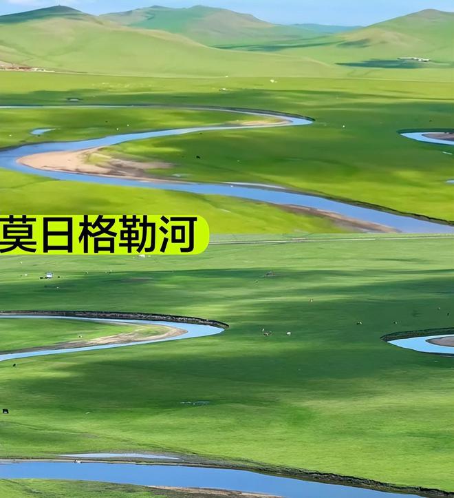 月升王国剧照_月升王国_月升王国预告