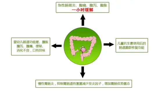 胃细胞主细胞分泌_胃主细胞_胃细胞主要分泌