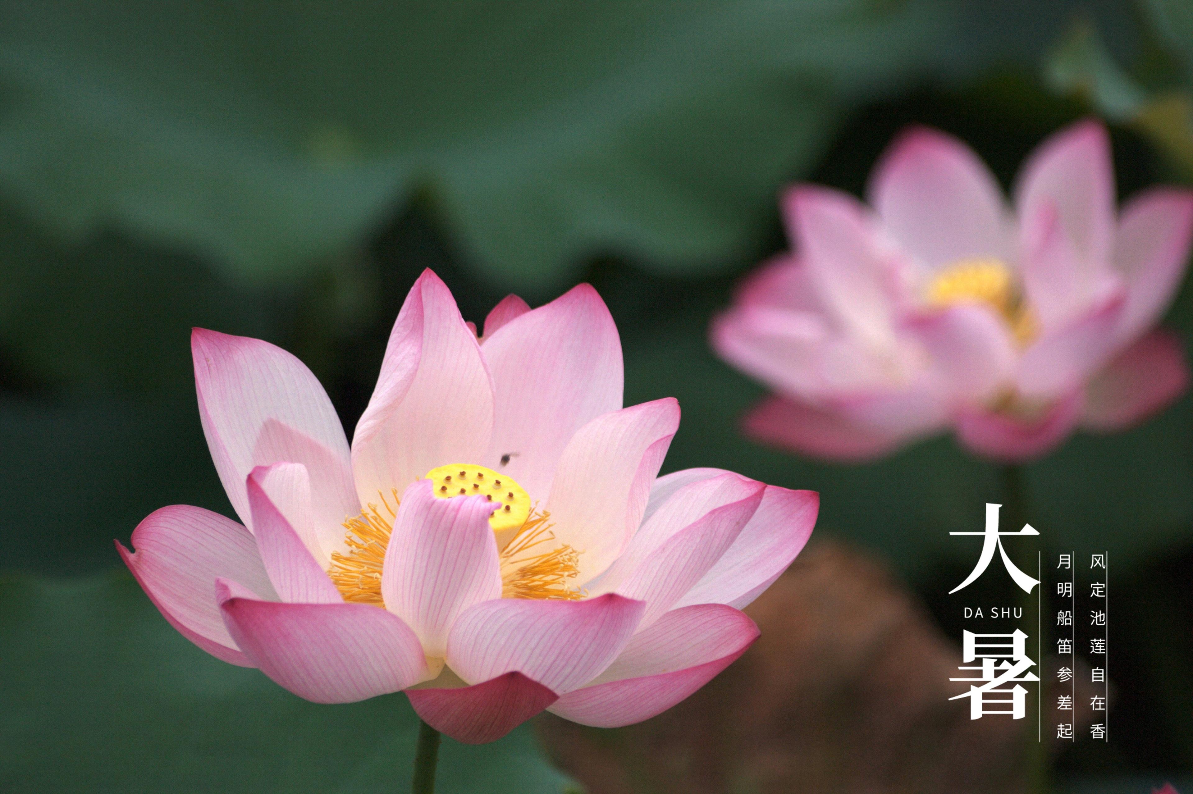 节气节日_5月节日节气_节气月份表