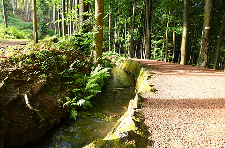 图林根是哪个国家的_图林根_图林根香肠