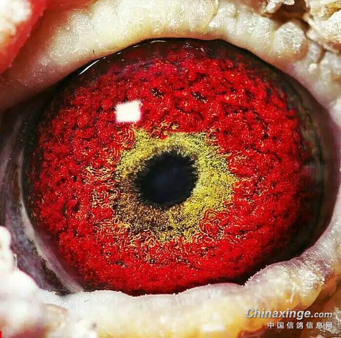 打手机小游戏_手机打怪游戏_打洞的手机游戏