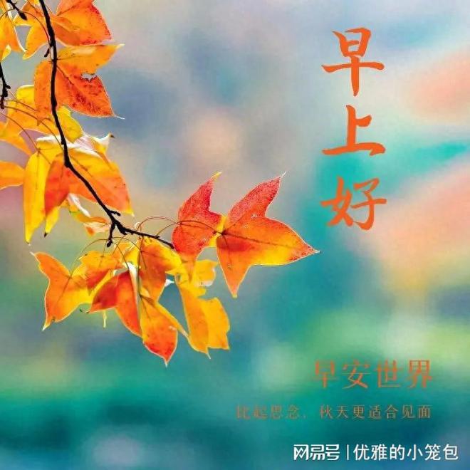 未来日记杂音_杂音未来小说_杂音未来