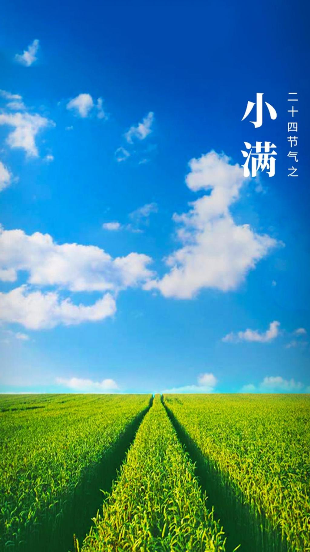 节气小满是什么意思_节气小满的来历及故事_二十四节气小满