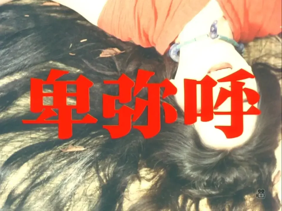 音黑者2电视剧_音黑的部首_黑音