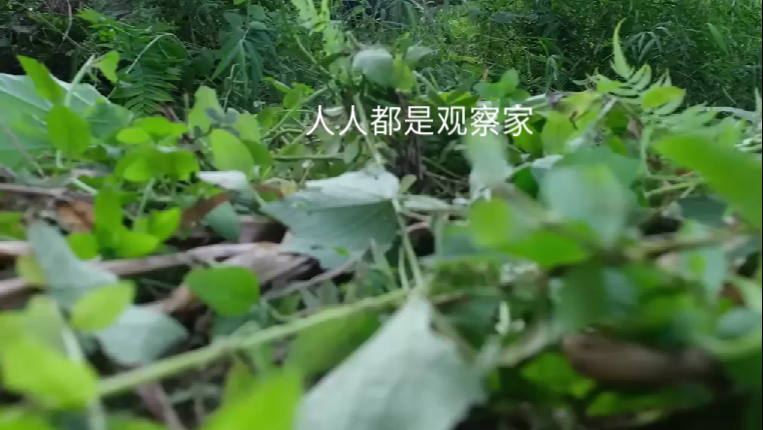 泰村花园_泰村实验学校_虹村亿泰