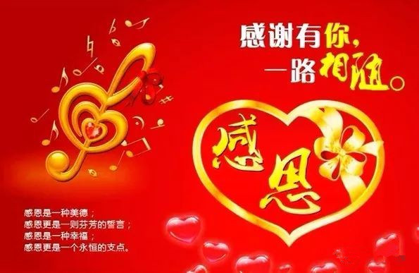 漆黑的魅影反转世界_宝可梦反转世界_反转世界