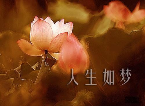 青山见我_青山见我应如是木更木更静水边_见青山