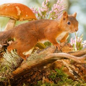 手机游戏恶魔城_emo游戏手机_手机游戏恶魔猎手