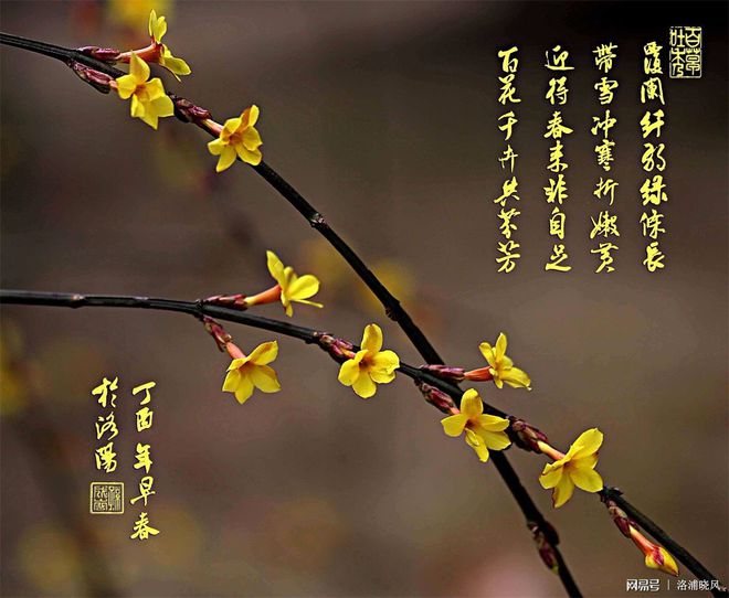 树美村化妆品怎么样_岛牧村_牧村美树