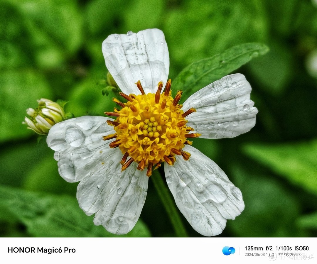 手机推荐游戏拍照_拍照手机游戏手机有啥区别_IS游戏手机拍照