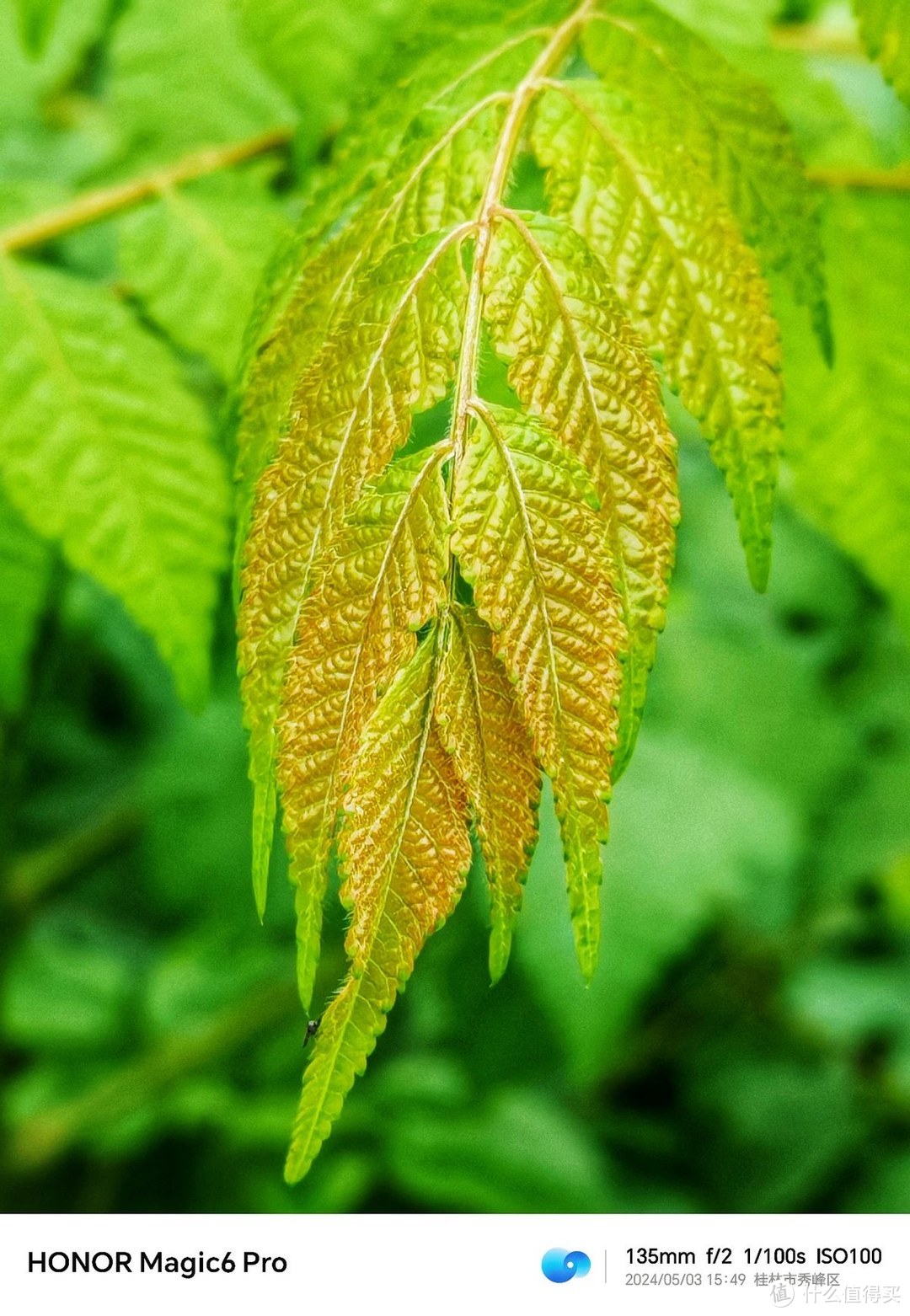 IS游戏手机拍照_手机推荐游戏拍照_拍照手机游戏手机有啥区别
