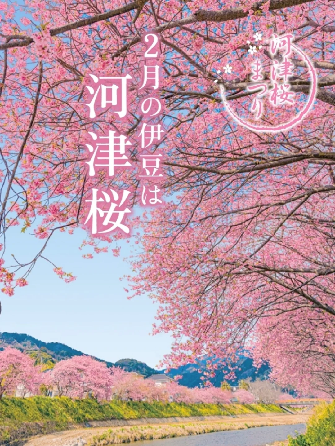 冒险村物语2攻略-冒险村物语 2新手攻略：探索神奇之地，与伙