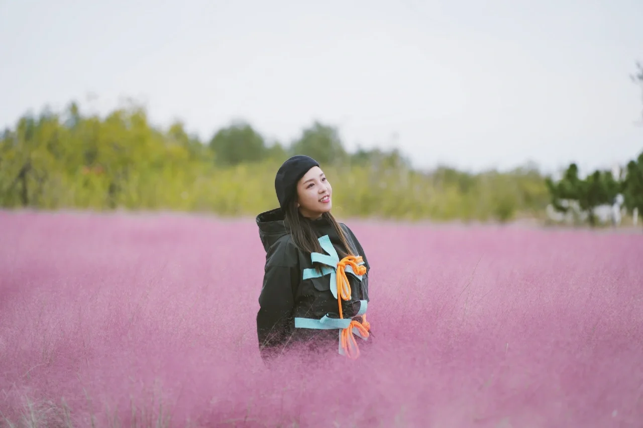 白鸽岛_白鸽岛_白鸽岛