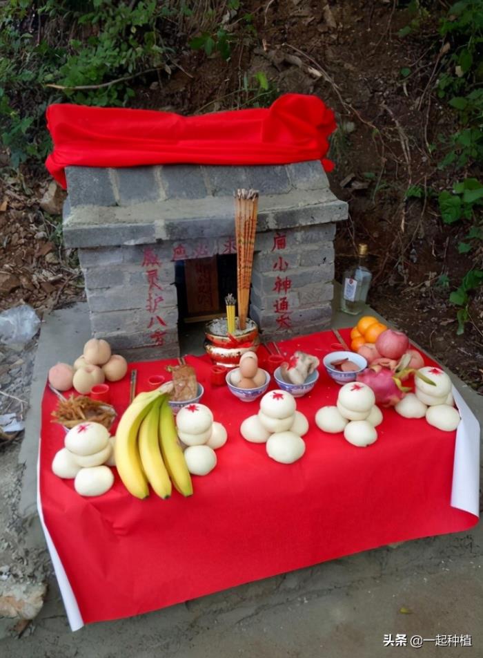 不死的黑蛇_梦见黑蛇_黑蛇传