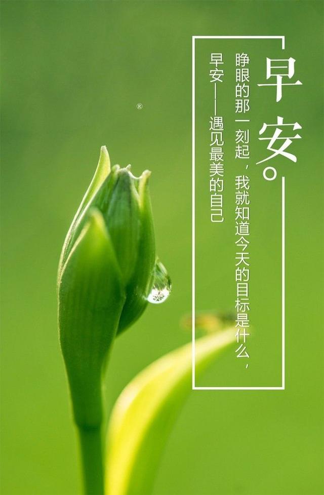 我要高飞_我要高飞_我要高飞