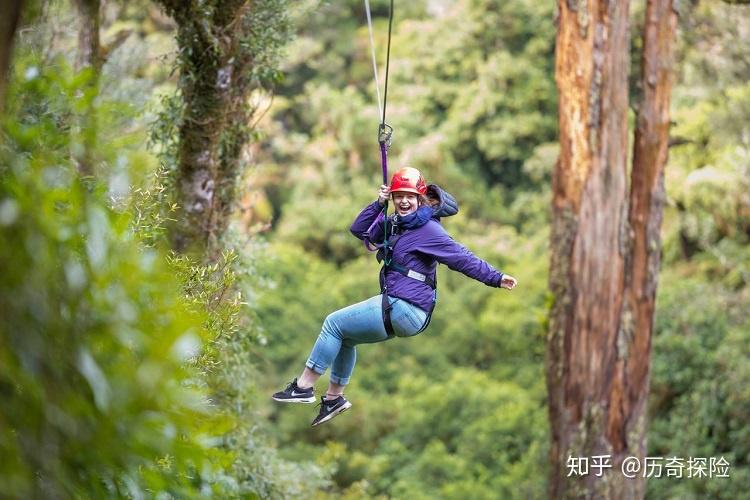 我要高飞_我要高飞_我要高飞