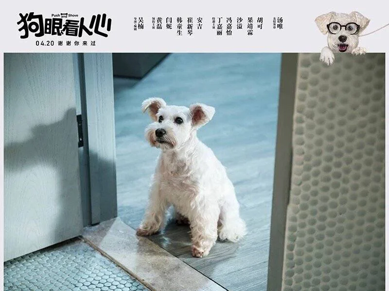 狗101斑点_101真狗_电影斑点狗101