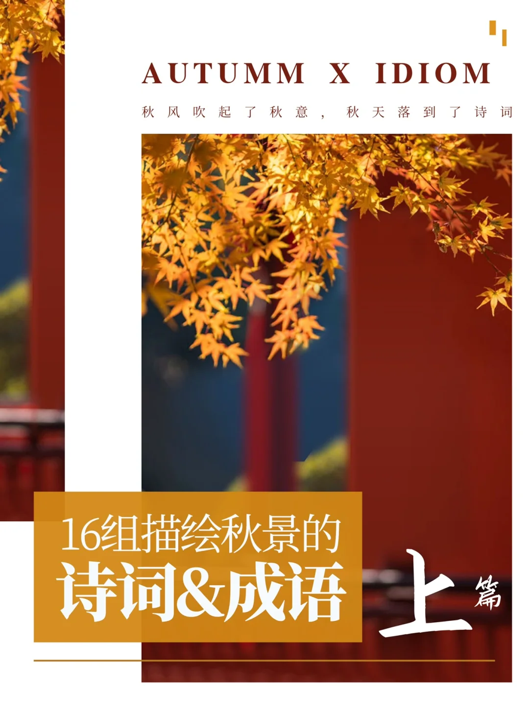 成语谚语手机游戏_常用谚语成语对应大全_谚语猜成语