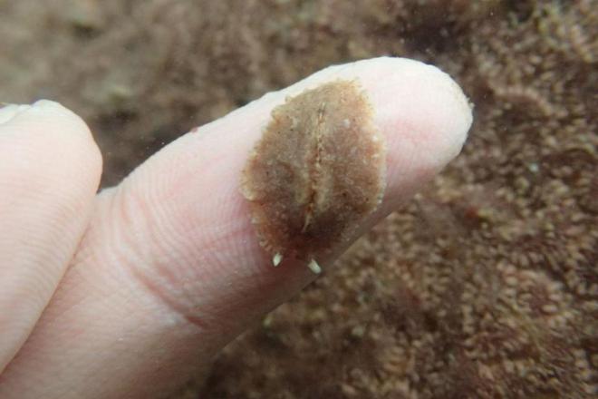 劝说沉迷游戏_不沉迷手机游戏的劝诫短文_沉迷游戏劝告