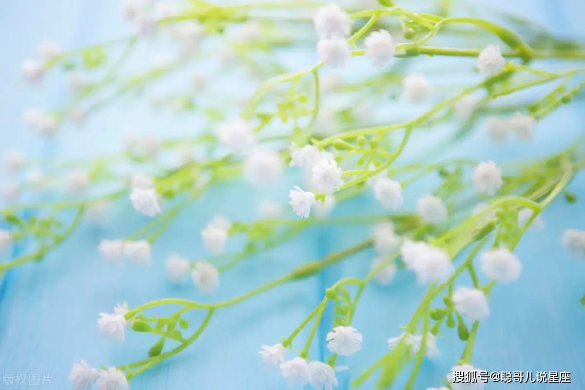 成人手办_成人手办_成人手办