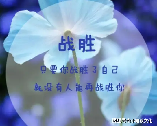 图片签名_输入名字自动生成签名图片_全红婵签名图片