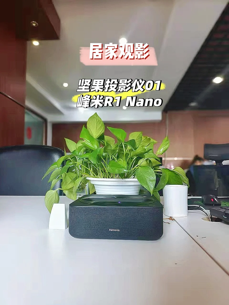 洽洽小黄袋每日坚果价格_赵一鸣零食坚果价格_坚果r1价格