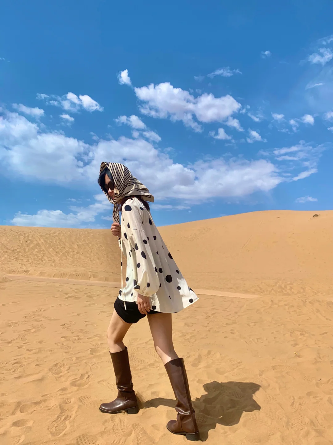 燕风沙手机游戏怎么玩_风沙燕技能_风沙燕手机游戏