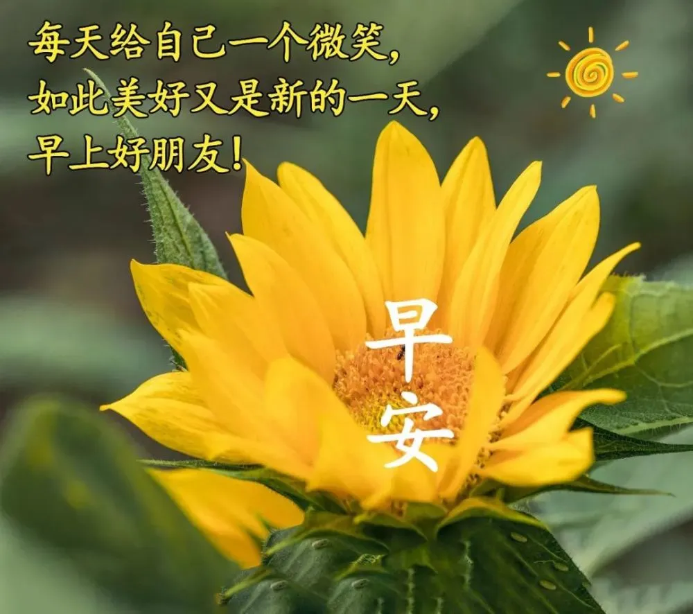 优木雪菜_优木あおい_优木雪菜的歌