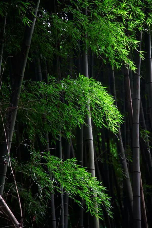 游美夏令营_美游_游美有声工作室