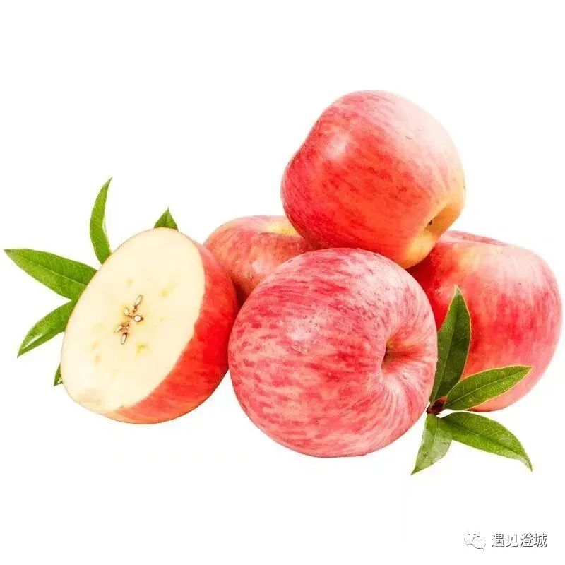 手机推塔游戏游戏多人联机_冰蛋手机游戏_适合手机的游戏