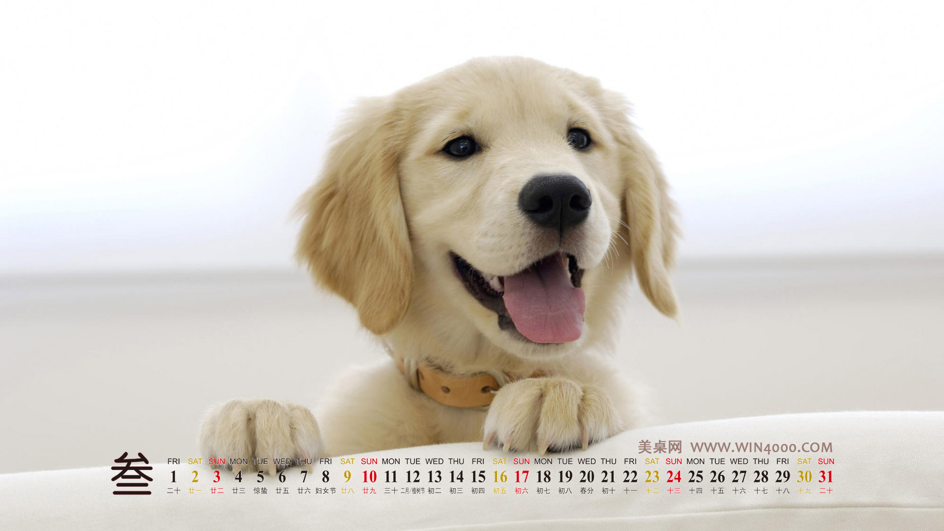 2013年3月17日_哈尼十月年_月年2023年