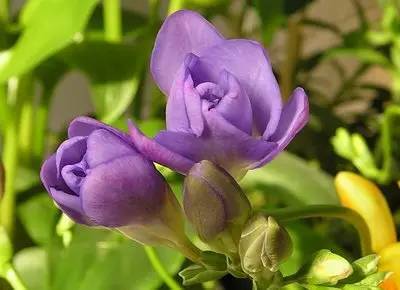 乱码改为中文_中文乱码问题的解决方案_sublime中文乱码怎么解决