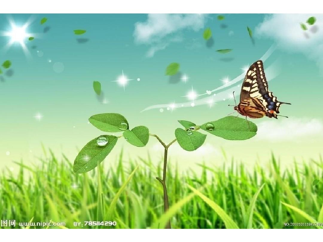 导出图片文字_ppt导出图片_导出图片大小怎么设置