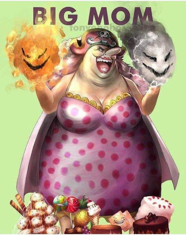 蜂女王进化_蜂女王_蜂女王性格推荐