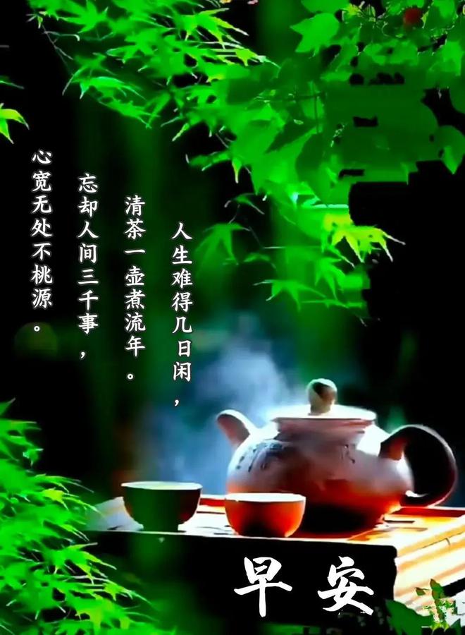 2089_2088年是什么年_208轴承内径和外径是多少