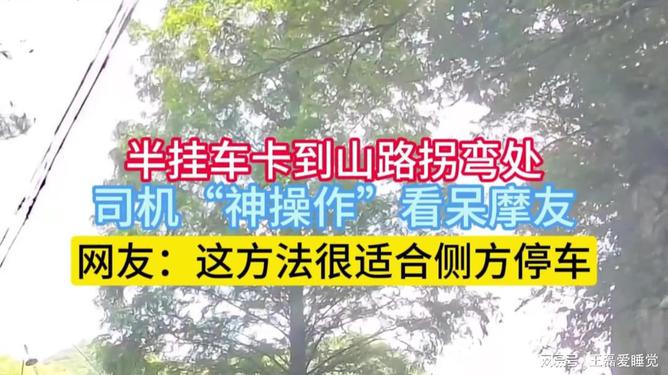 挂车游戏模拟驾驶游戏手机版本_半挂车游戏手机下载_挂车游戏大全手机版