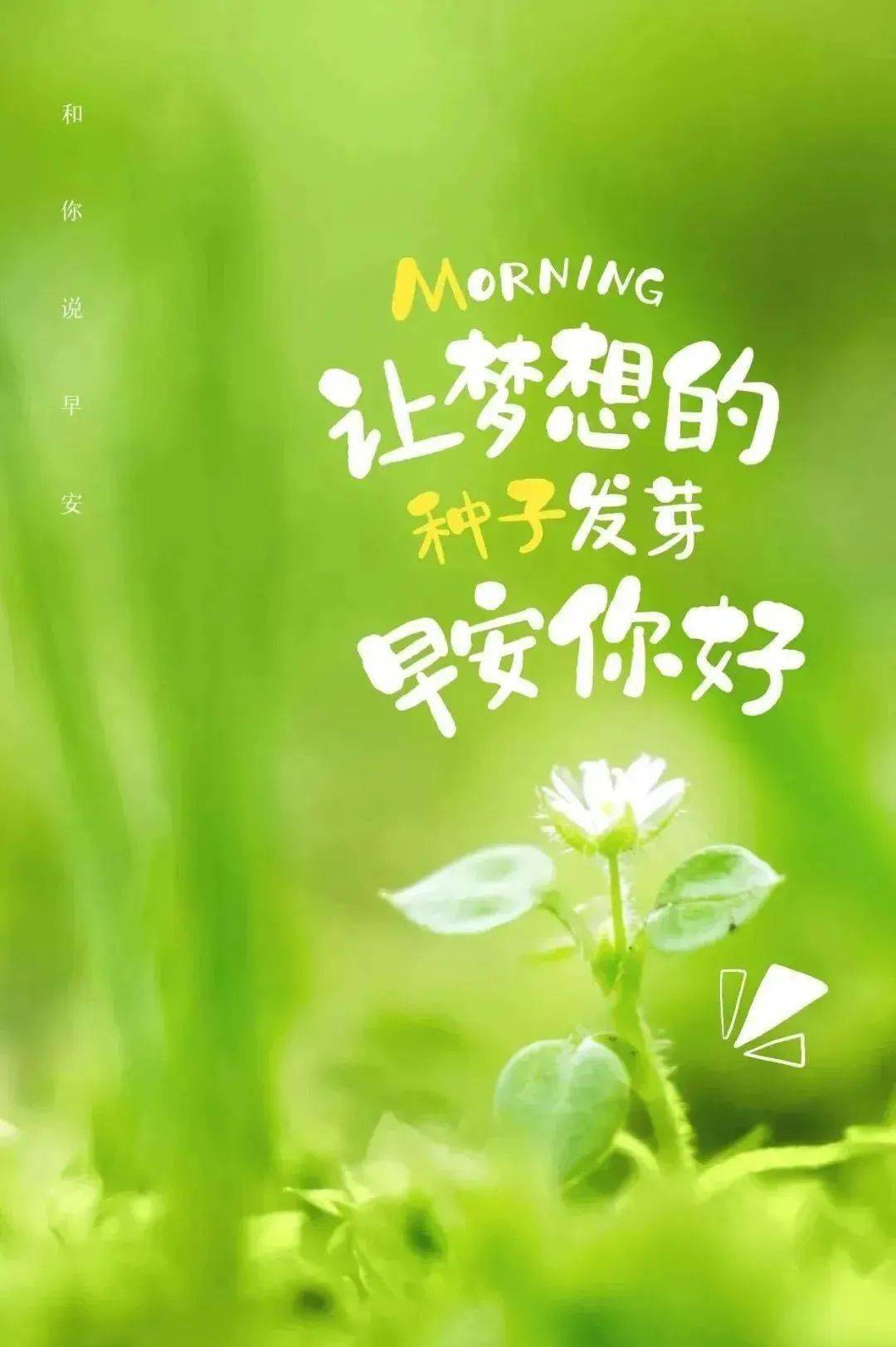 彼方的阿斯特拉_彼方阿斯特拉动漫_彼方阿斯特拉电影