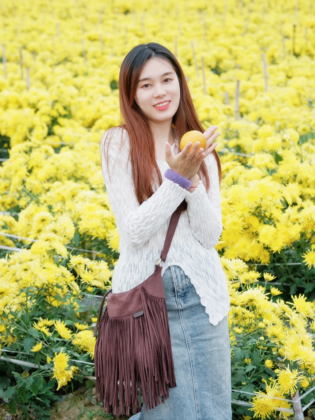 电影比例大小_电影画面比例高的手机游戏_电影比例app