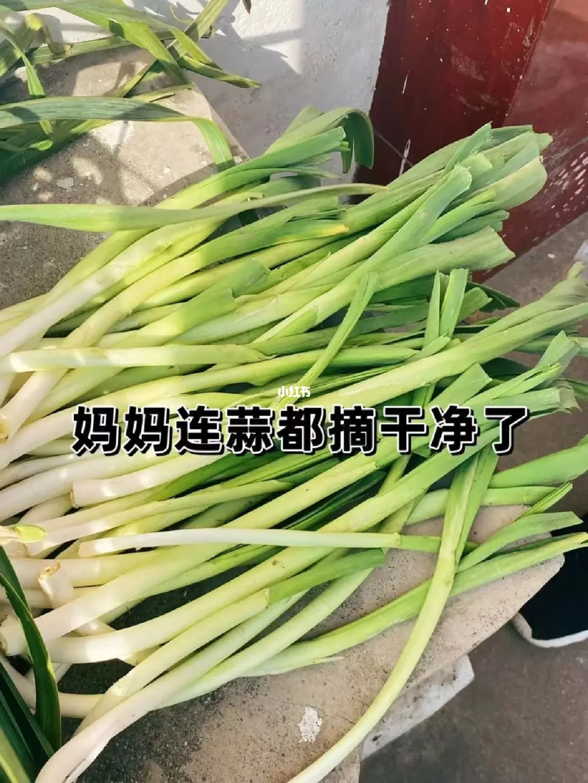 米二_米时米刻_米修米修什么意思