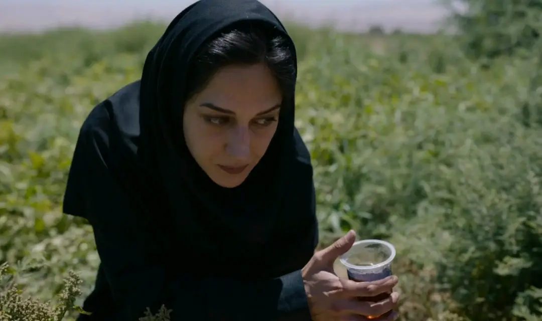 黑太阳731电影_电影太阳黑暗点在线_电影太阳黑子在南京大屠杀