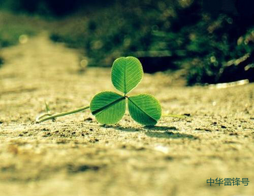 逍遥散人原名_逍遥散人哪个大学的_逍遥散人