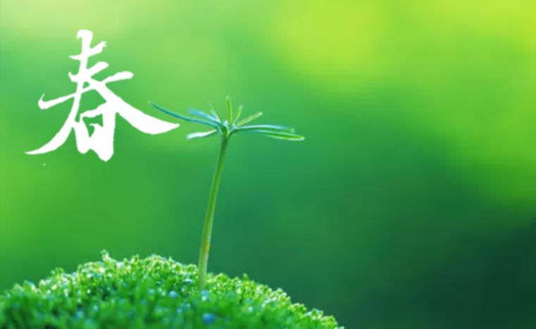 菲利普船长_菲利普斯船长_船长菲利普斯