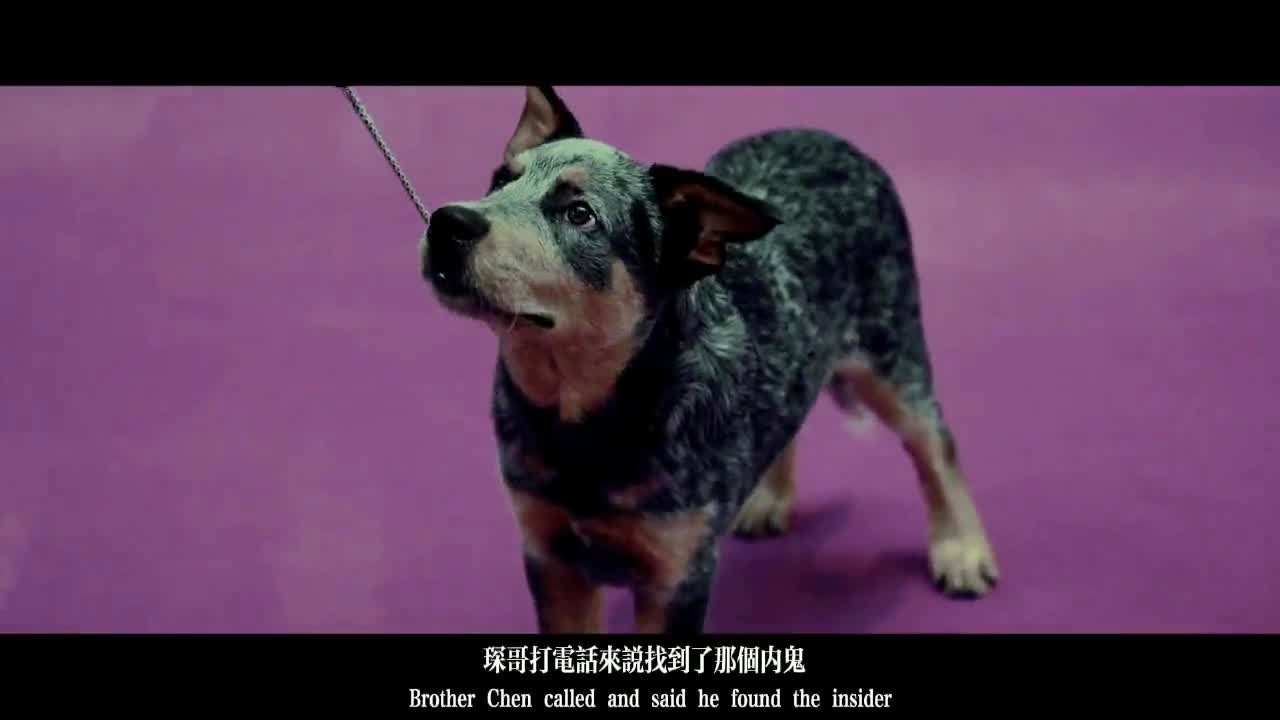 杜宾狗动画_杜宾犬游戏手机版_玩具杜宾犬