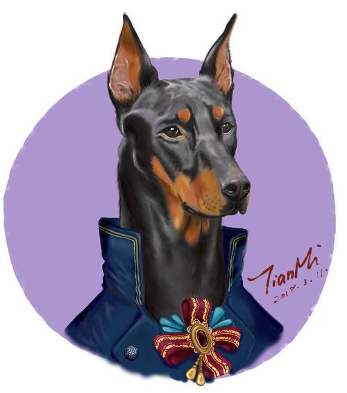 玩具杜宾犬_杜宾犬游戏手机版_杜宾狗动画