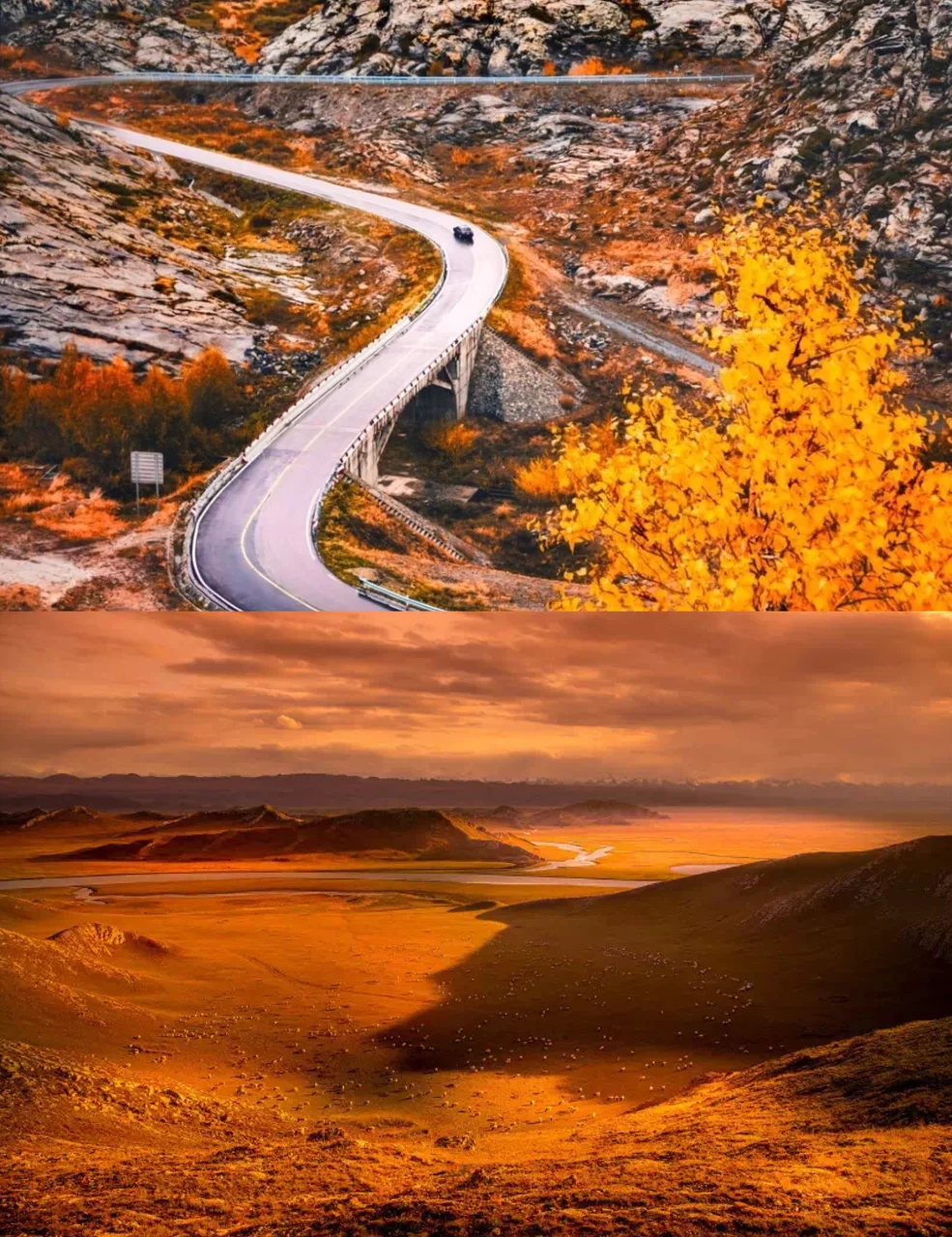 手机h游戏apk直装_h黄游戏手机游戏_手机在线成人h游戏