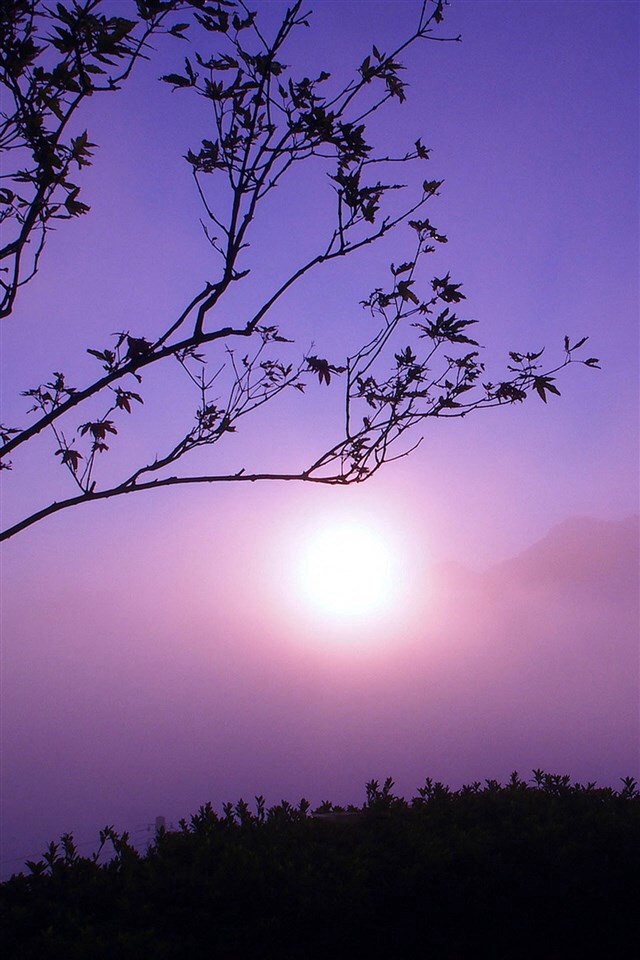 拍风景照的相机app_景点打卡拍照app_风景打卡拍照手机游戏下载