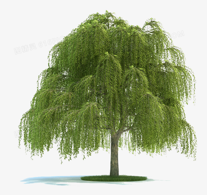 手机照片抠图去掉多余人物_想把照片上多余的人物抠掉_抠去照片中多余的人和物软件