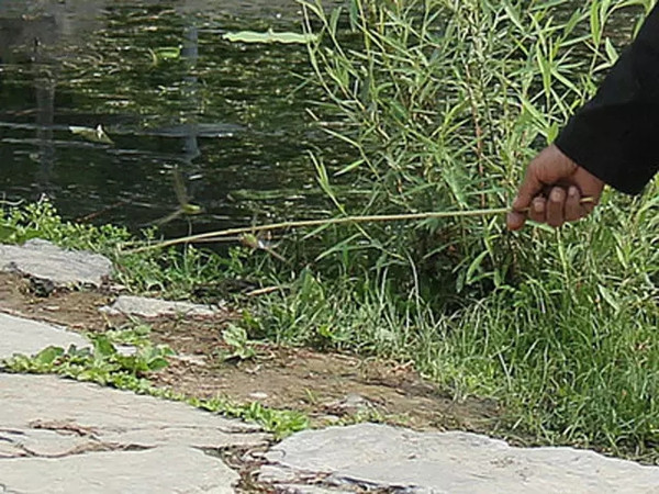 看黄神器_看那个的神器_看神器下载