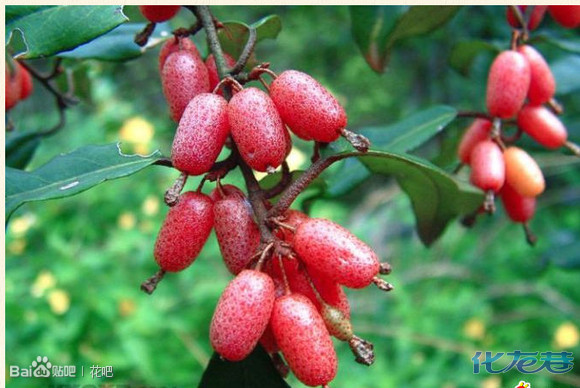 看那个的神器_看神器下载_看黄神器