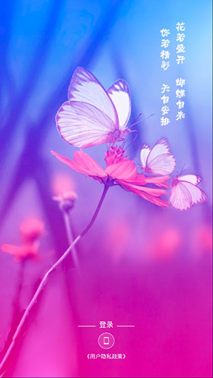 圆规小姐游戏正版手机游戏_三国单机版手机游戏_bnb游戏手机版